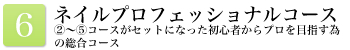 ネイルプロフェッショナルコース